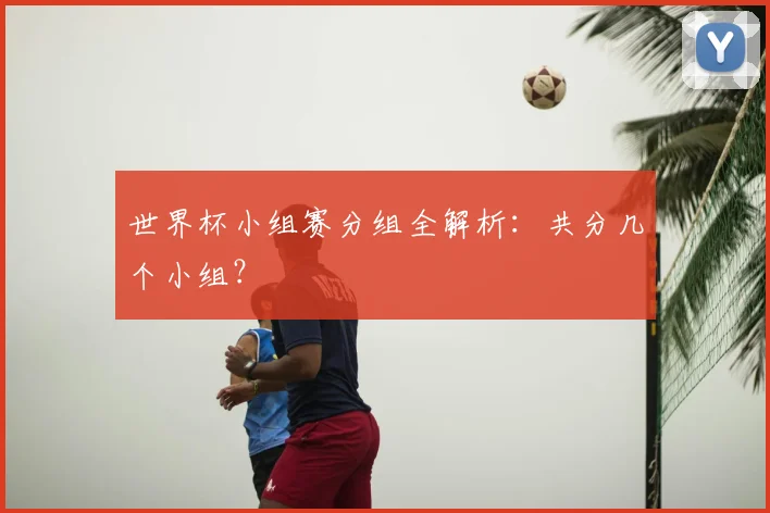 世界杯小组赛分组全解析：共分几个小组？