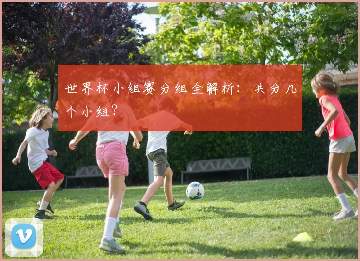 世界杯小组赛分组全解析：共分几个小组？