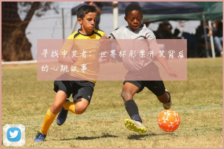 寻找中奖者：世界杯彩票开奖背后的心跳故事