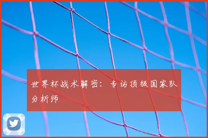 世界杯战术解密:专访顶级国家队分析师