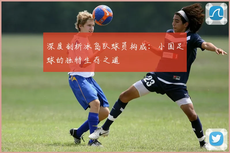深度剖析冰岛队球员构成：小国足球的独特生存之道